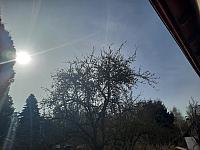 Olešná