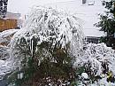 Vítkov