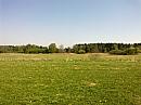 Borkovice