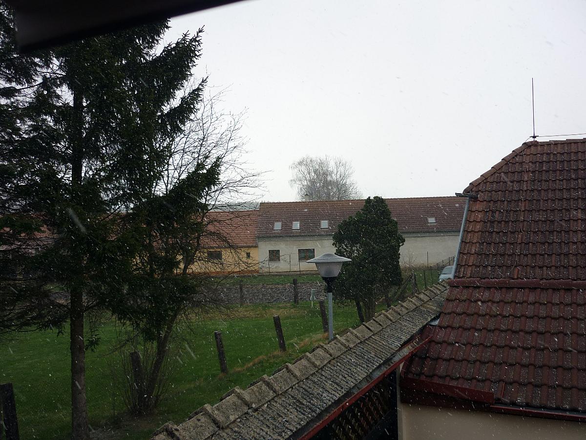 Borkovice