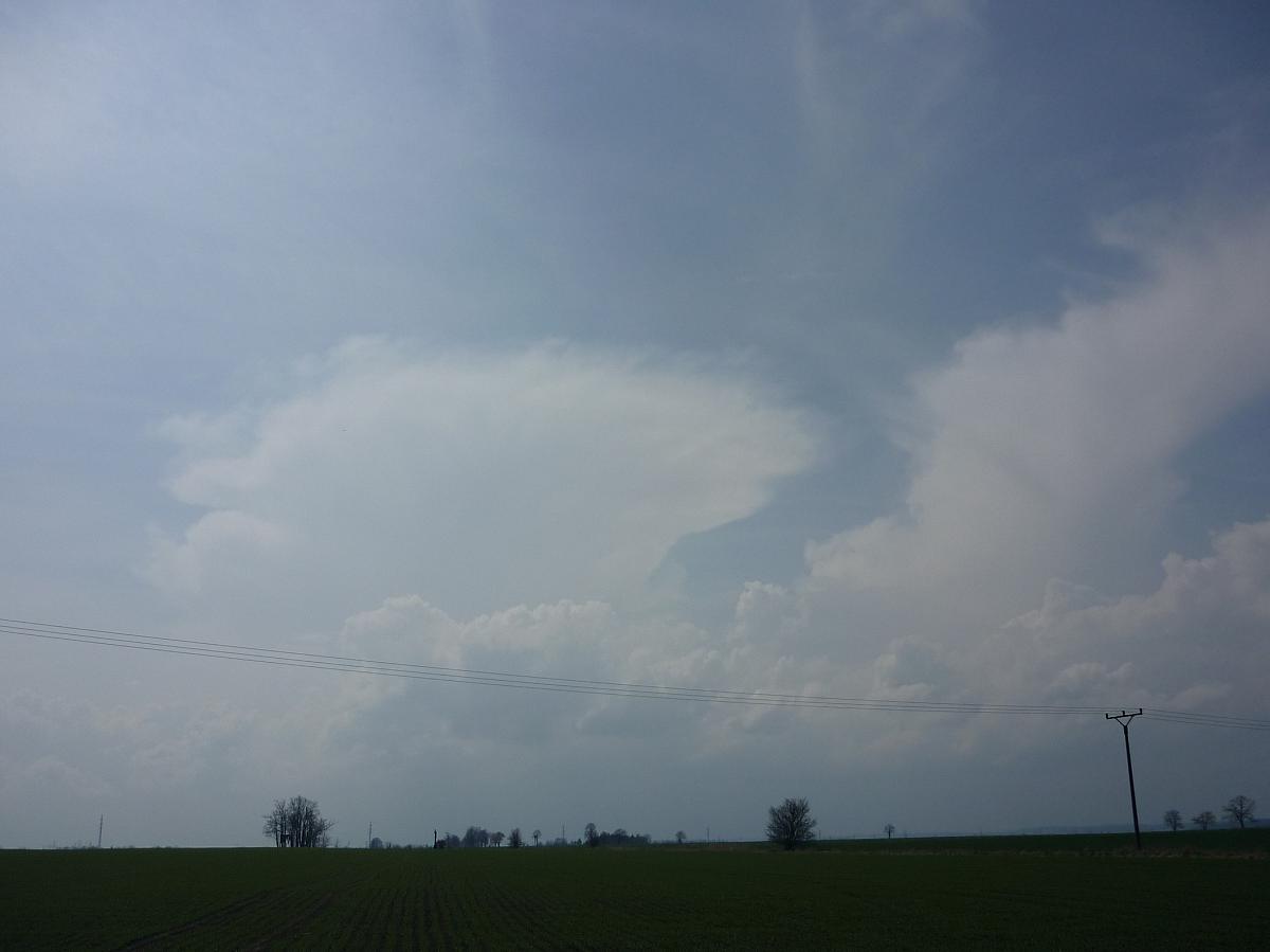 Borkovice