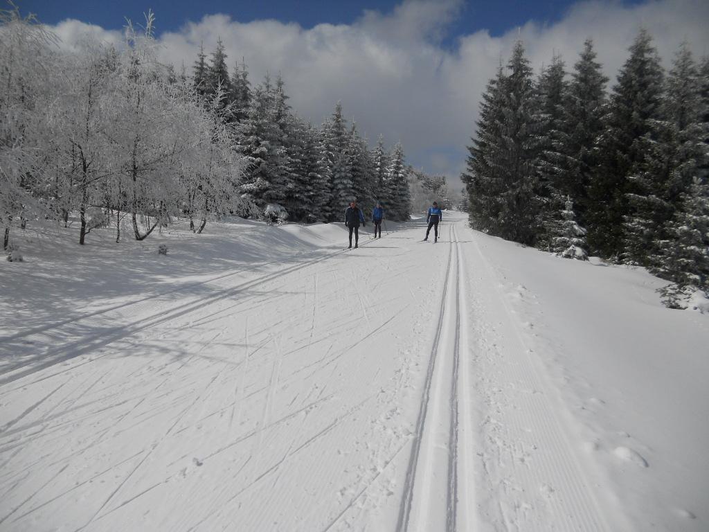 Horní Halže