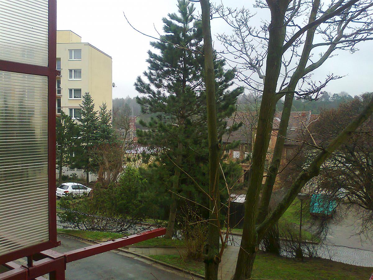 Borovina