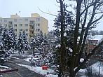Borovina