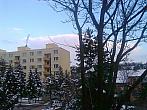 Borovina