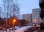 Borovina