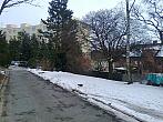 Borovina