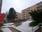 Borovina