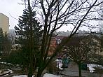 Borovina