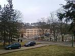 Borovina