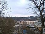Borovina