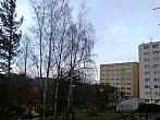 Borovina
