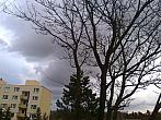 Borovina