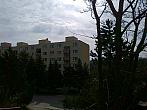 Borovina