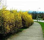 Praha-Modřany
