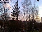 Borovina