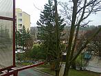 Borovina
