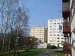 Borovina