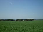 Hostákov