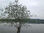 Mnichov (okres Strakonice)