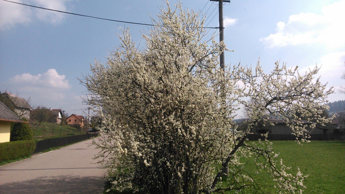 Letohrad
