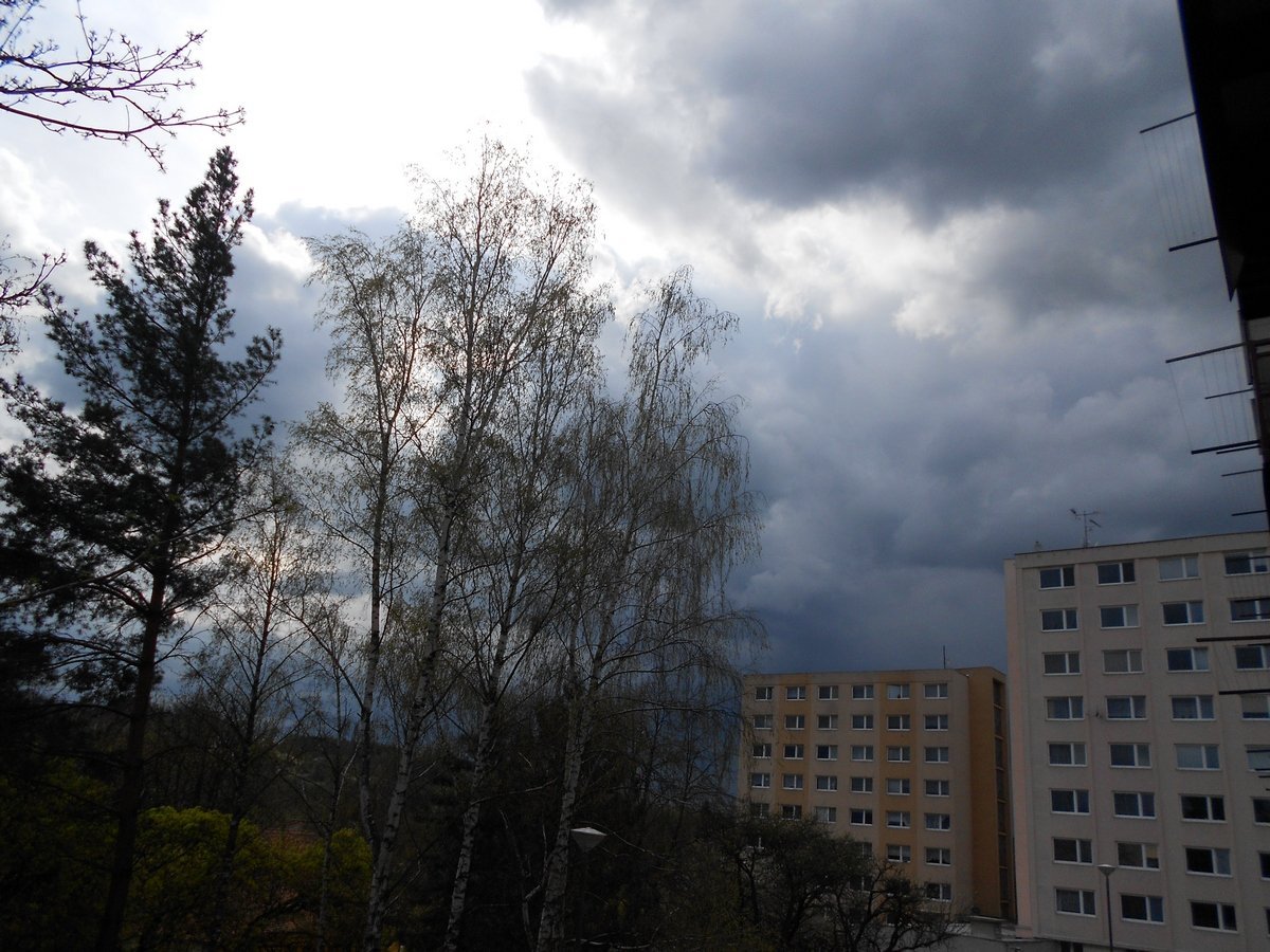 Borovina