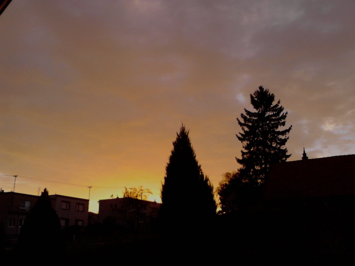 Kvasice