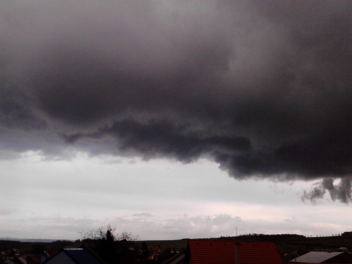 Kvasice