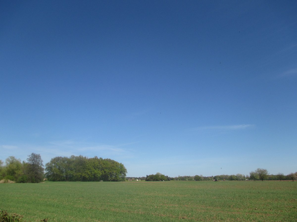 Ostrá