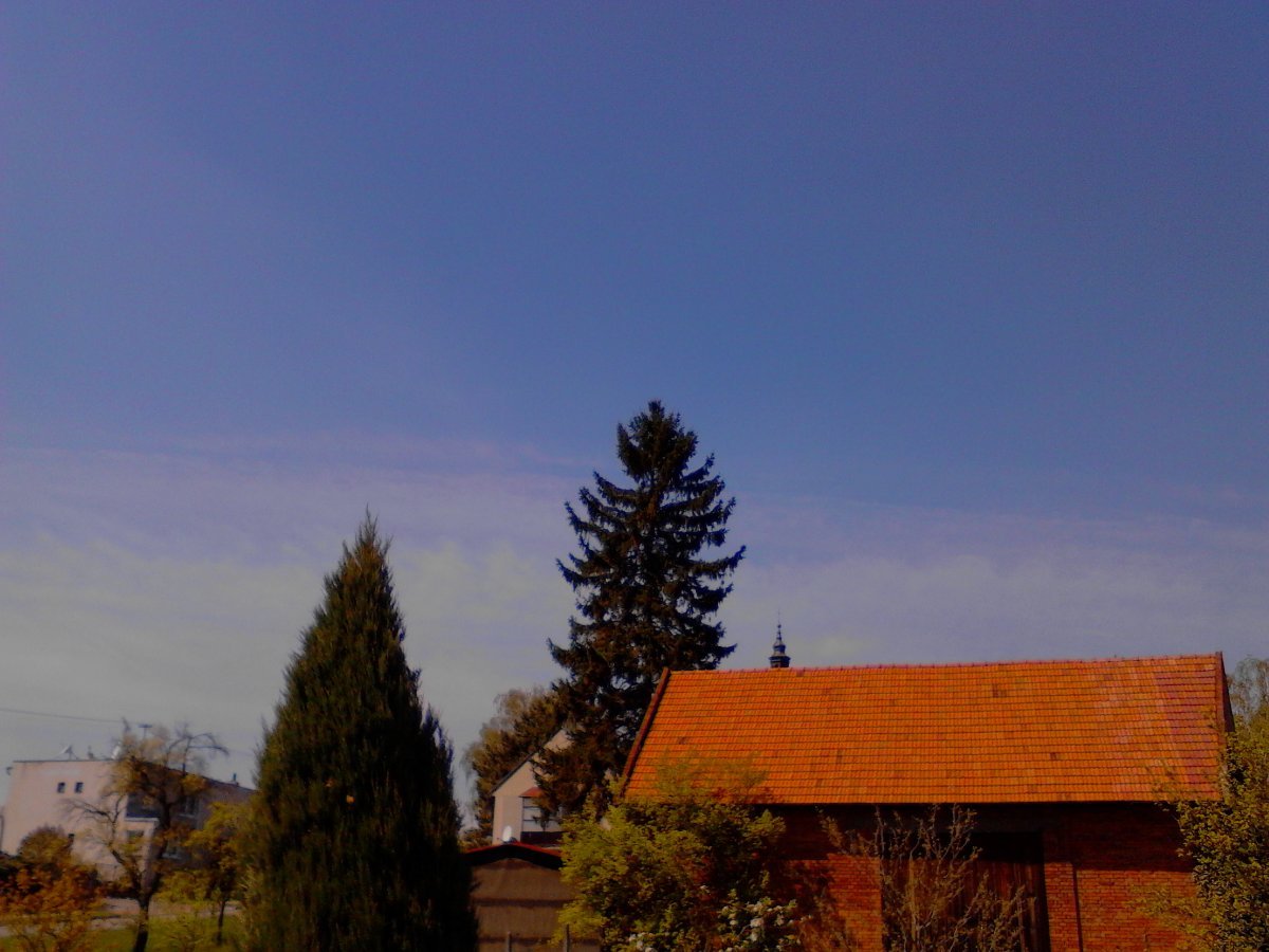 Kvasice