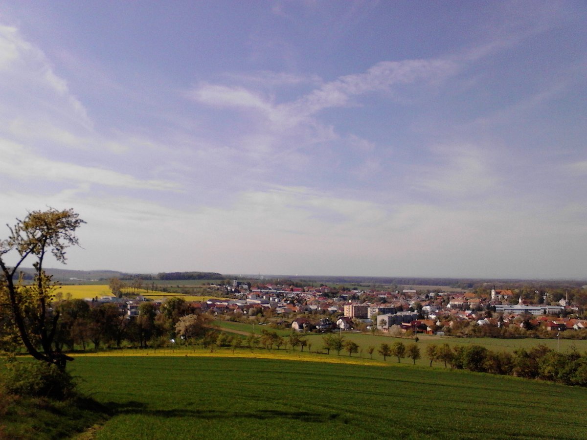 Kvasice