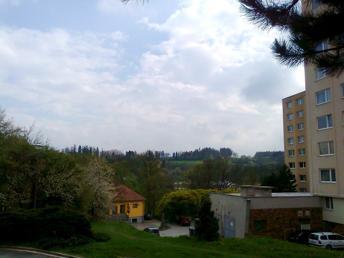 Borovina