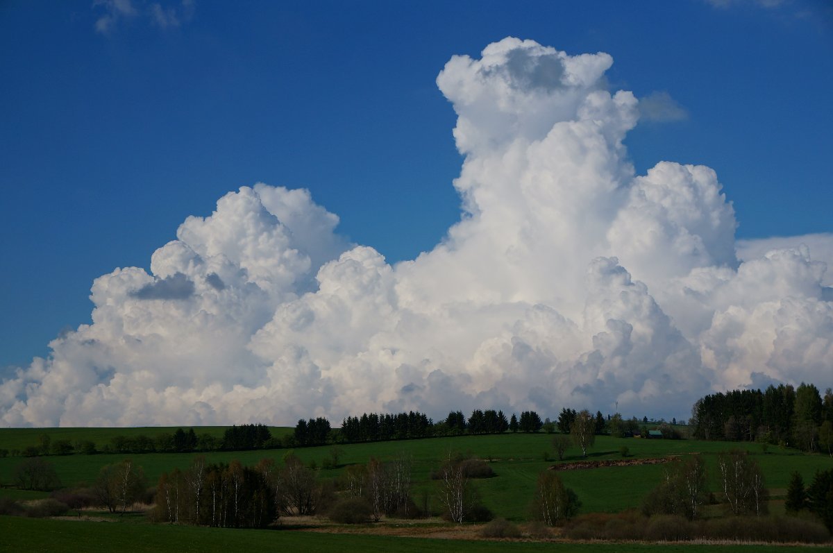 Svratka