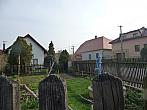 Třibřichy