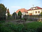 Třibřichy