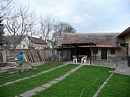 Třibřichy