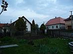 Třibřichy