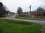 Třibřichy