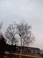 Jihlava