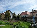 Třibřichy