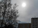 Borovina