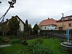 Třibřichy