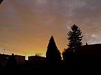 Kvasice