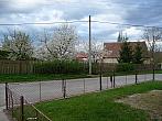 Třibřichy