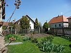 Třibřichy
