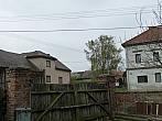 Třibřichy