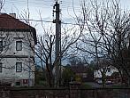 Třibřichy