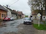 Třibřichy