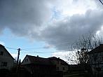 Třibřichy