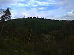 Borovina